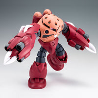 HGBF MSM-07-A Amazing Z'Gok (Jan)