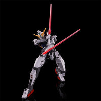 HG Gundam Zilius (Oct)