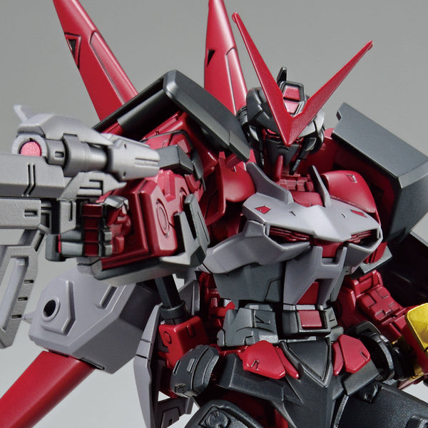 HG Gundam Astray Red Frame Inversion
