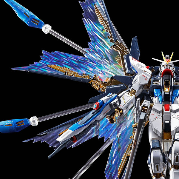 RG Strike Freedom Gundam Effect Unit Wings of the Sky