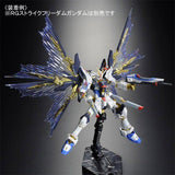 RG Strike Freedom Gundam Effect Unit Wings of the Sky