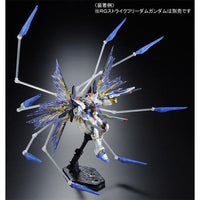 RG Strike Freedom Gundam Effect Unit Wings of the Sky