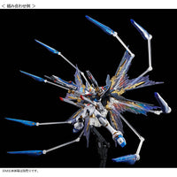 RG Strike Freedom Gundam Effect Unit Wings of the Sky