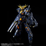 RG Expansion Unit Armed Armor VN/BS (Jun)